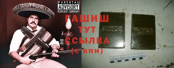 МДПВ Ельня