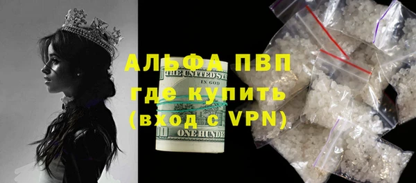 МДПВ Ельня