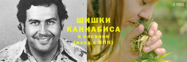 МДПВ Ельня