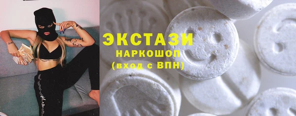 МДПВ Ельня