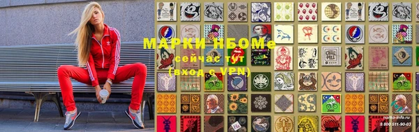 МДПВ Ельня