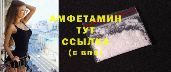 МДПВ Ельня