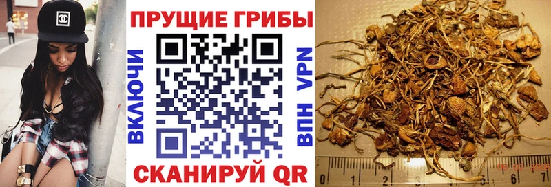 Галлюциногенные грибы ЛСД  Пикалёво 